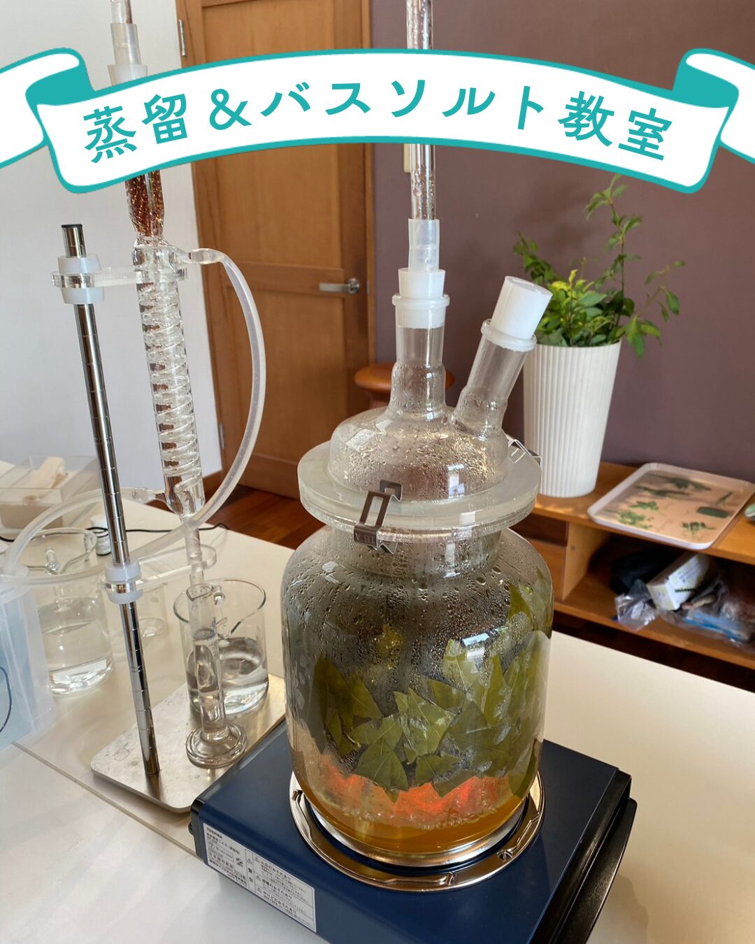互いの森の杉を使った蒸留体験の様子